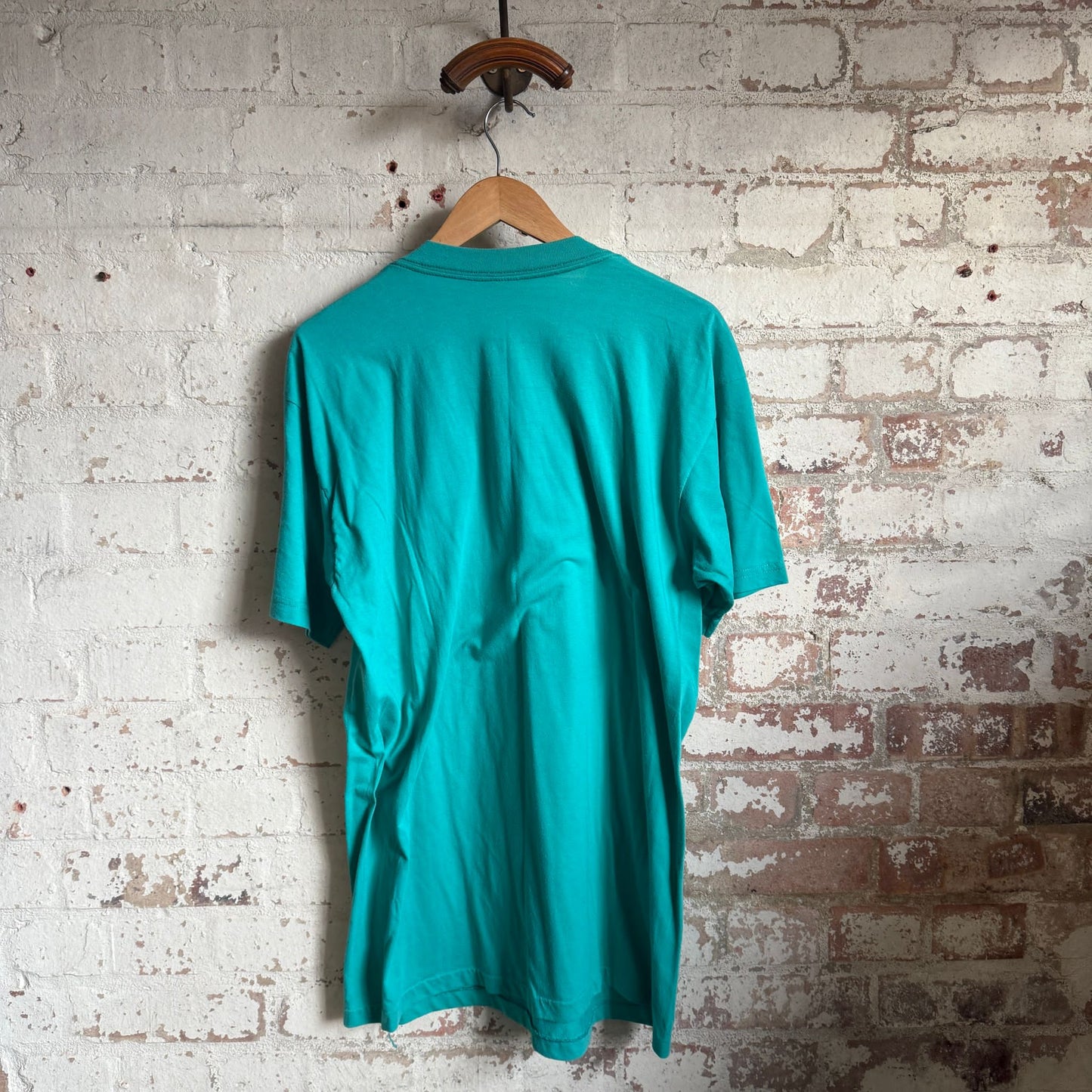 1990s Turquoise Ski graphic T-Shirt