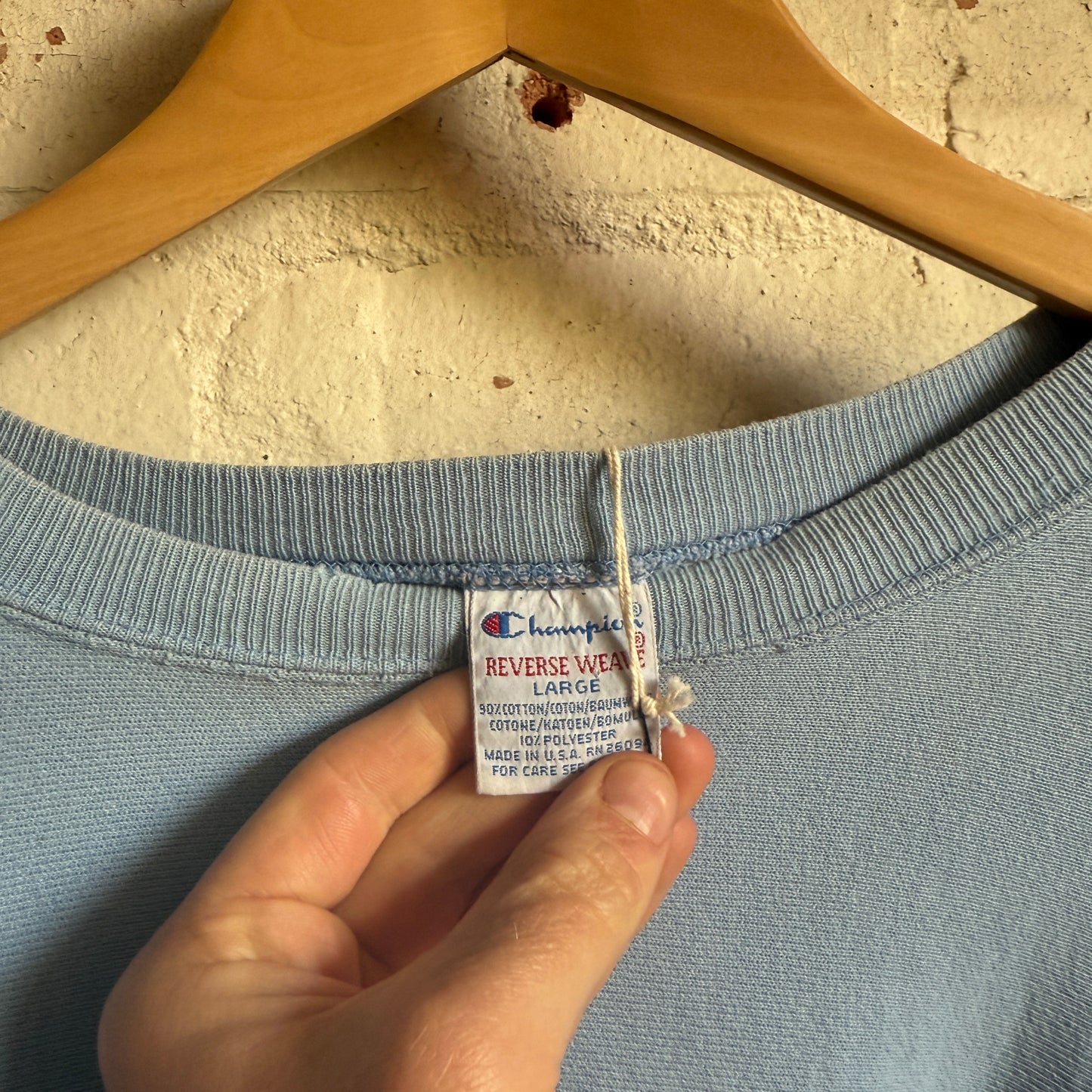 1990s Baby Blue Champion Reverse Weave Sweatshirt