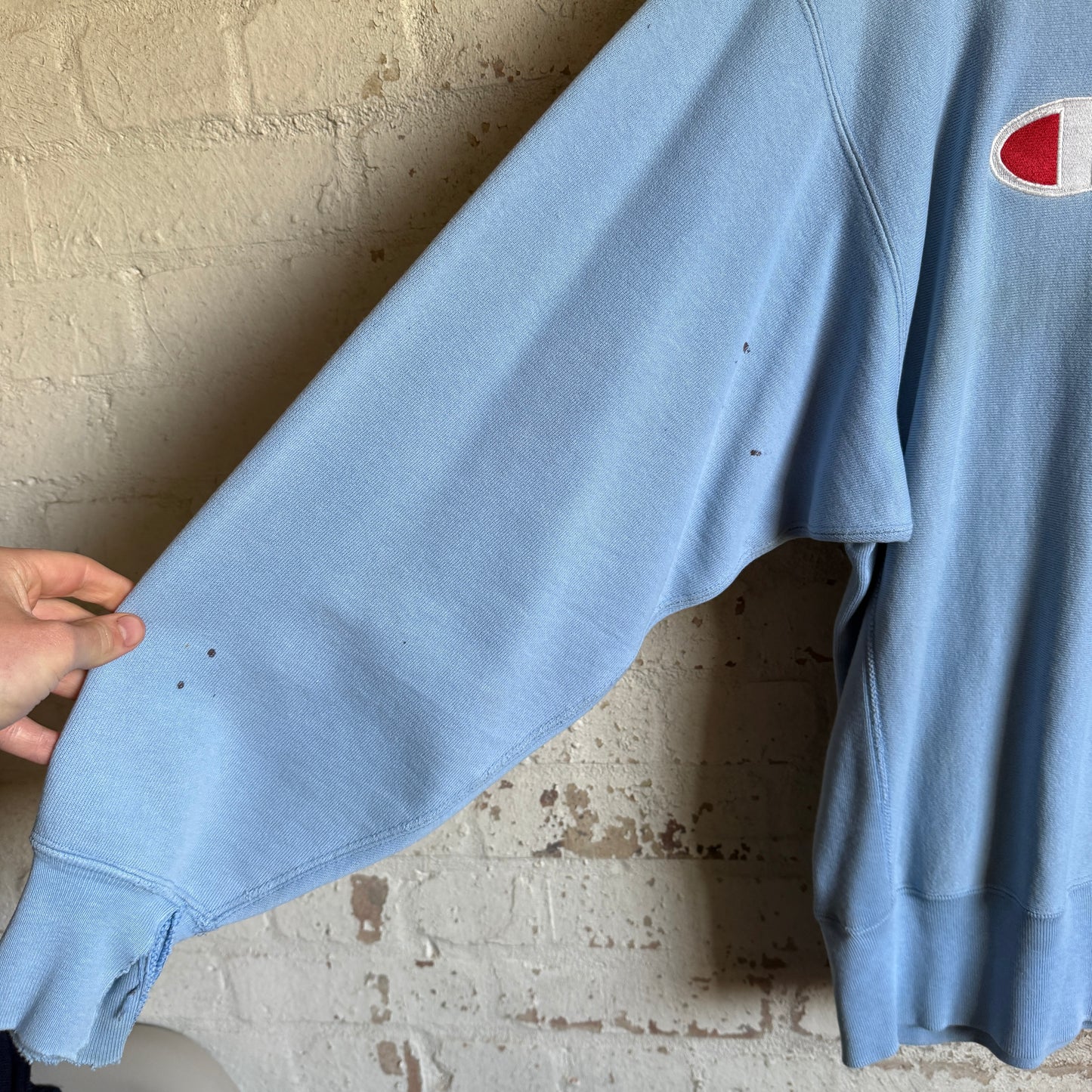 1990s Baby Blue Champion Reverse Weave Sweatshirt