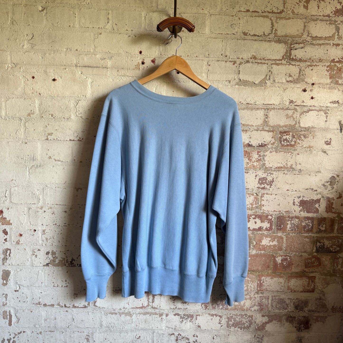 1990s Baby Blue Champion Reverse Weave Sweatshirt