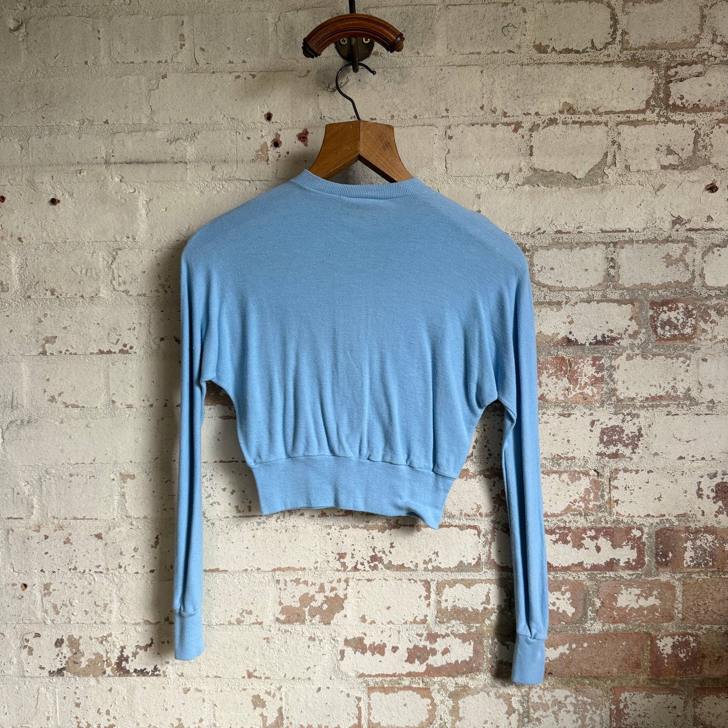 1960s Baby Blue Cotton Cardigan Sweatshirt Top