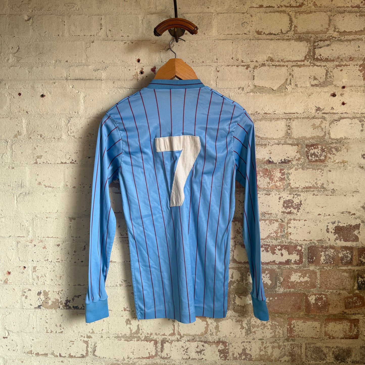 1970s Blue Long Sleeve Graphic Shirt