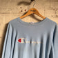 1990s Baby Blue Champion Reverse Weave Sweatshirt